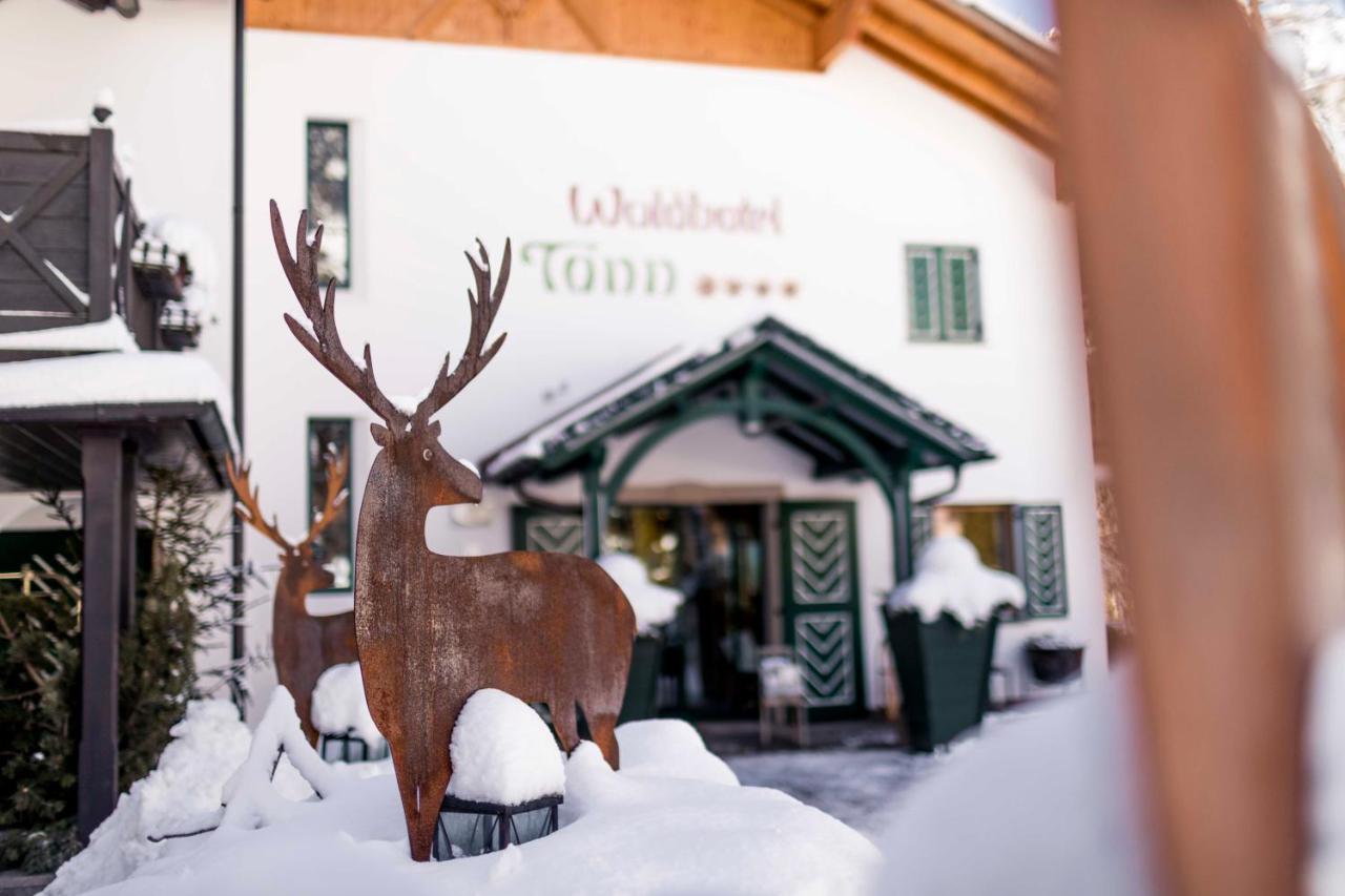 Hotel Tann Коллальбо Экстерьер фото